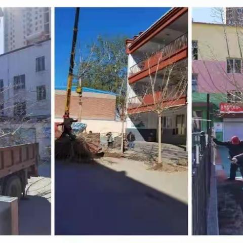 劳动最美丽·种树就是种幸福——定州市大道观小学“双减”工作案例