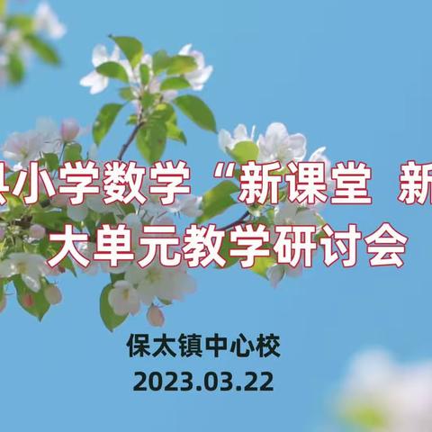 平邑县小学数学“新课标   新课堂”大单元教学研讨会