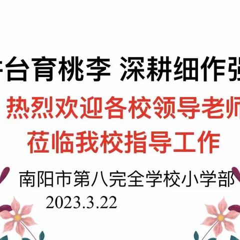 三寸讲台育桃李 深耕细作强业务——南阳市第八完全学校三语联动教研活动纪实