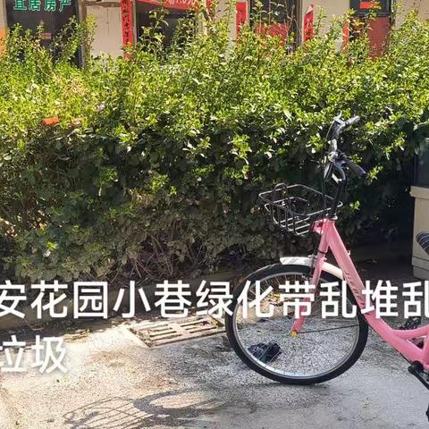 爱卫办开展环境卫生整治督查（四）