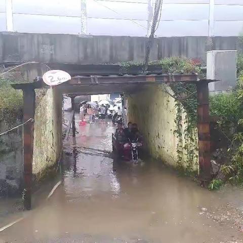 ——学思想、重实践、我为群众办实事