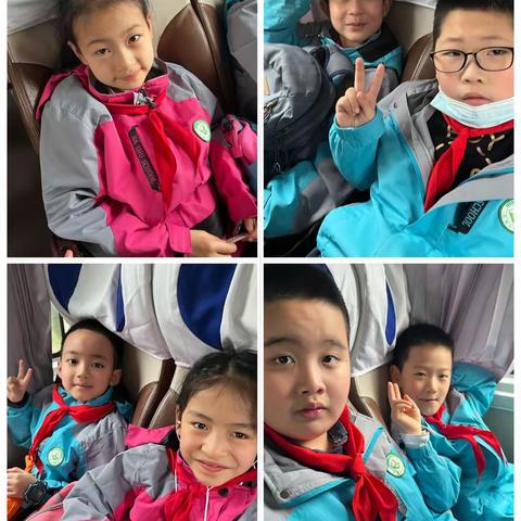 重庆两江新区巴蜀学校二年级一班探访野生动物，寻找生命伊始主题活动