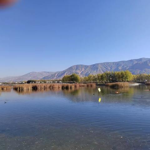 北川湿地公园秋景