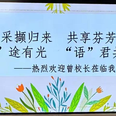 “研”途有光，“语”君共享——岭背镇中心小学曾纪茂校长莅临水头小学语文教师培训指导纪实