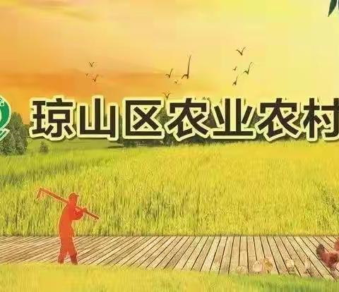 区委常委、统战部长杜梅英到新民林场开展巡林工作