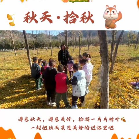 【中一班】一叶知秋