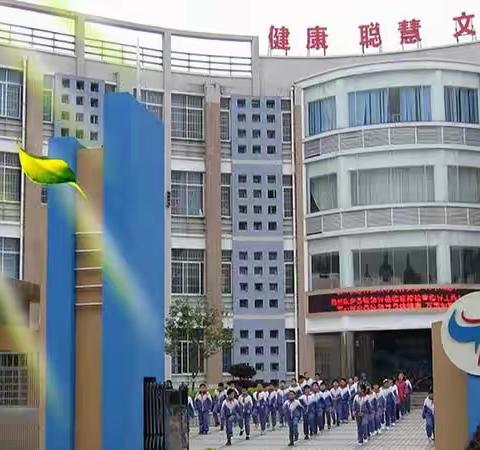 天台小学“天天向上”数韵课程之益智实践活动