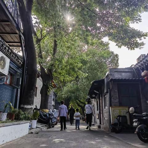 树苗家的北京游记（二）