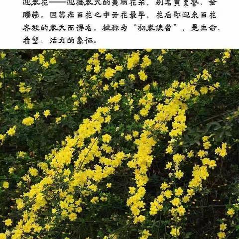 23春一幼中三班美术课（3月29日）
