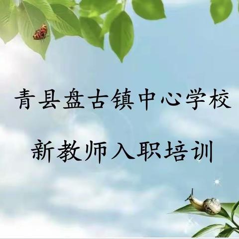 新星绽放✨ 成长启航——青县盘古镇中心学校 新教师入职培训侧记