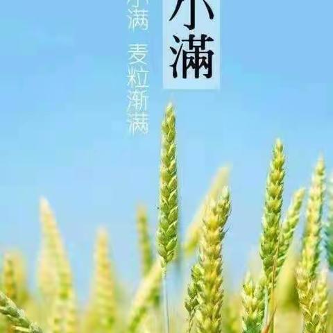 初夏迎小满，万物皆欢欣——夏河幼儿园小班组小满美篇