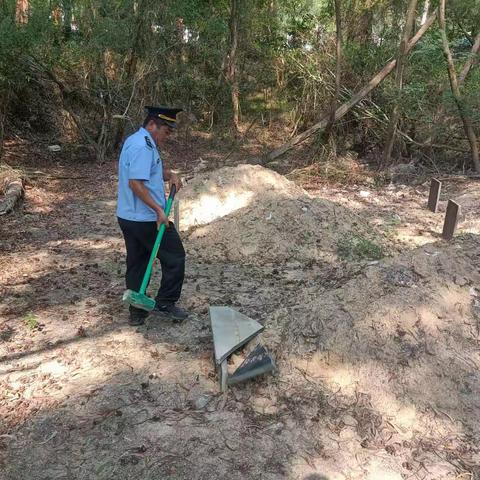 椰林镇常态化巡控拆除假坟，严厉整治占地行为。