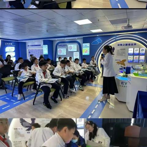 学习二十大 争做好队员———莲都区囿山小学教育集团504萤火虫中队暑期实践活动