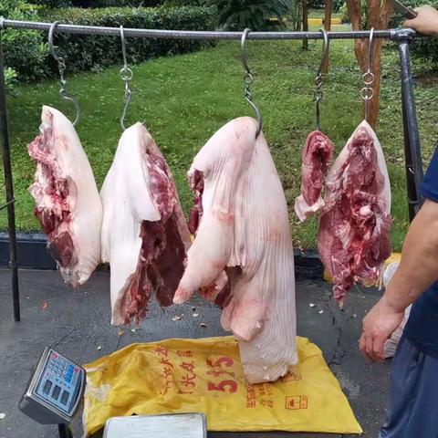 “扶农助残”帮售新鲜猪肉----株洲工业园党委志愿者活动