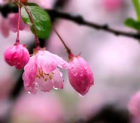 《滴答滴答下雨了》