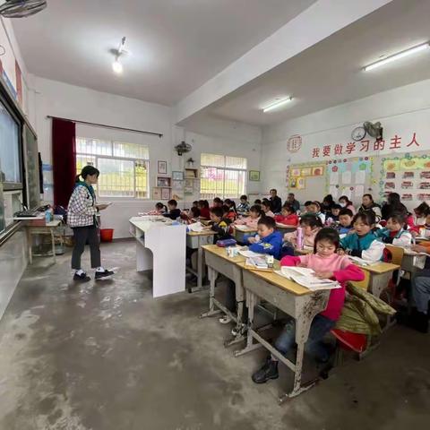 真君小学韦雨燕老师校内公开课交流