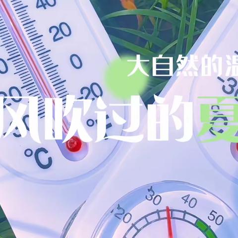 自然中的小秘密