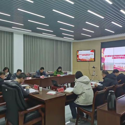 定边：召开主题教育专题组织生活会