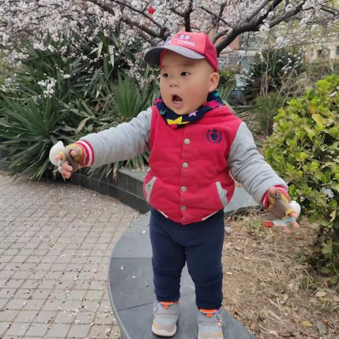 2023－03－23 真正的春天来了，天天和十一泡在外面😄