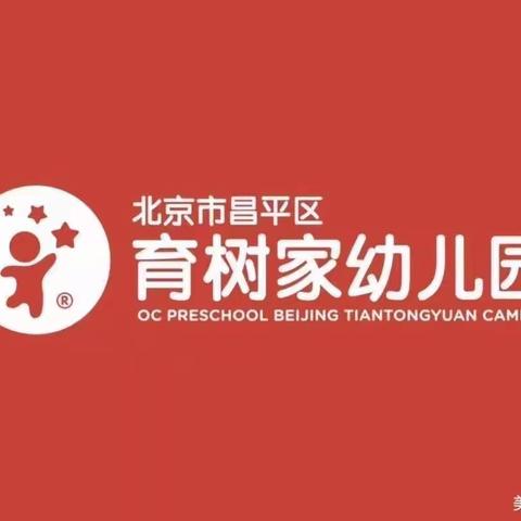 走进小学 ，憧憬未来—育树家幼儿园大四班