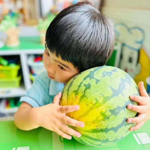嗨，西瓜—小一班课程故事