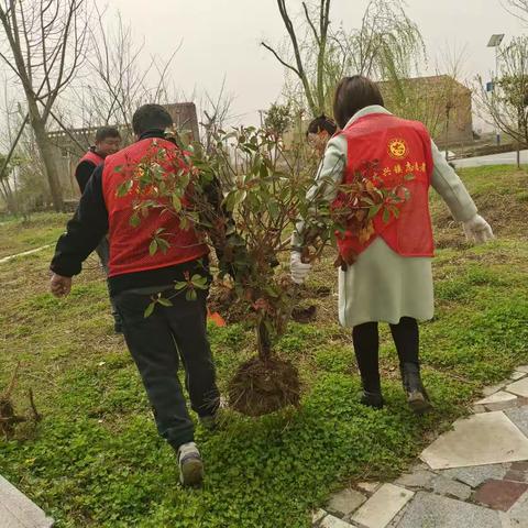 筑梦雷锋月·植树我先行