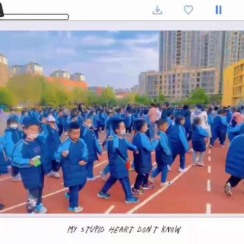 康平小学一年级1班研学活动纪实