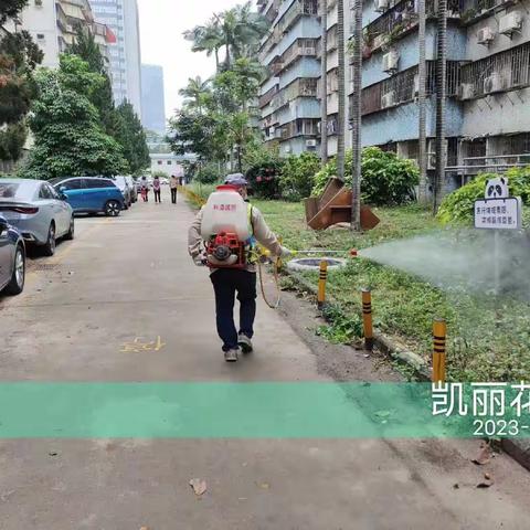 2023.03.28.深圳市利濠城市环境服务有限公司，粤海街道城中村，老旧宅小区开展消杀病媒生物防制工作
