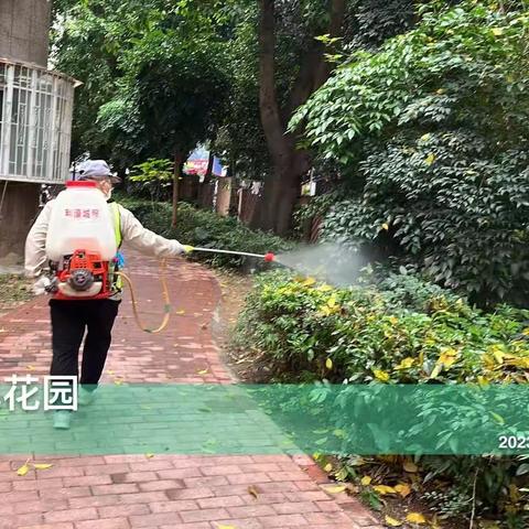 2023.03.30.深圳市利濠城市环境服务有限公司，粤海街道城中村，老旧宅小区开展消杀病媒生物防制工作