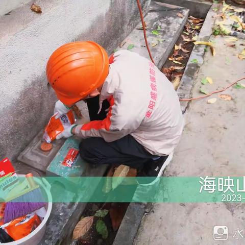 2023.04.01.深圳市金阳盛城市服务集团有限公司，粤海街道城中村，老旧宅小区开展消杀病媒生物防制工作