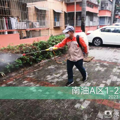 2023.04.03【深圳市金阳盛城市服务集团有限公司】粤海街道城中村，老旧宅小区开展消杀病媒生物防制工作