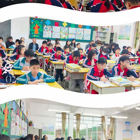 教师因学习而精彩，因交流而进步——连州镇小学第四组共同体教研活动纪实