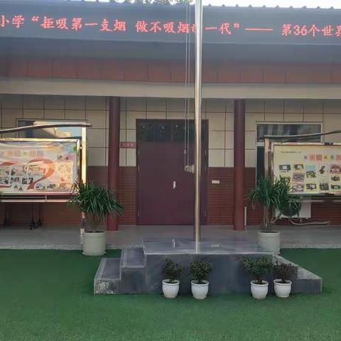 无烟世界，健康相伴——集贤镇赵代小学无烟日活动宣传