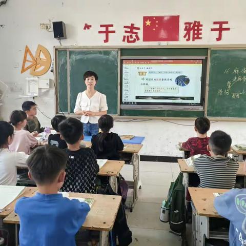 展教学风采 促新秀成长之《麻雀》公开课一一宁陵县第三实验小学