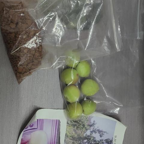 江城一中高二年级“走近乡土地理，提升地理实践力”的作业实践