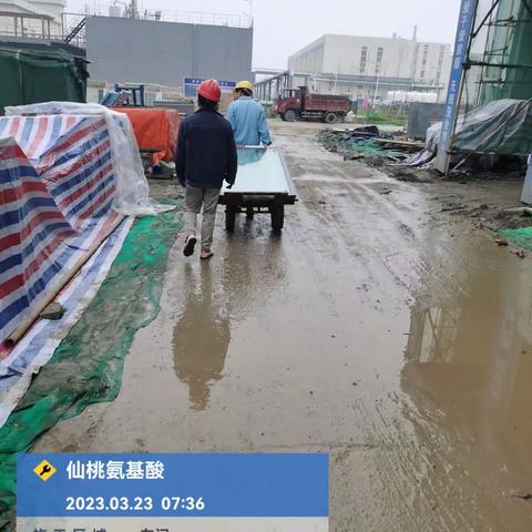 2023年3月23日工作日志