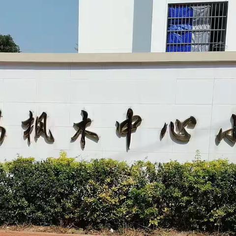 析而知优缺，思而明方向——枫木中心小学2022年秋季教学质量分析会