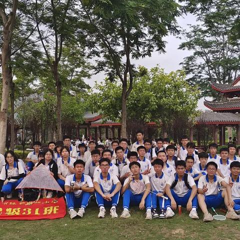 以梦为马，不负韶华--高二31班期末总结