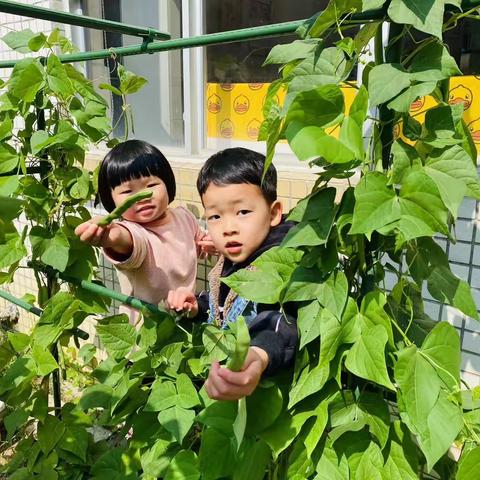 【食健康，育未来】——中乐班食育课程