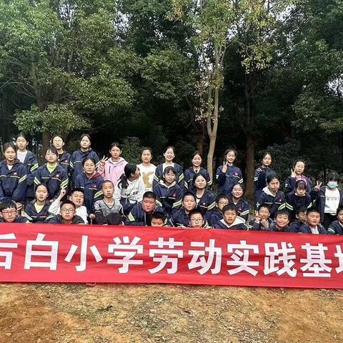 后白中心小学——六3班句容市茅山风景区纺工茶场校外研学活动。