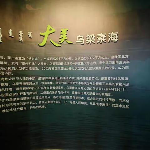 开展社会实践，并行成长之路——记德岭山学校五年级二班社会活动