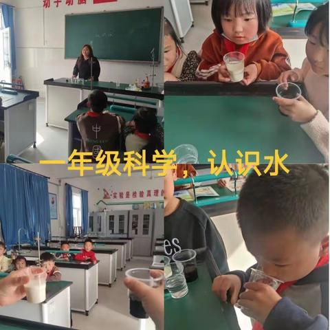 我的实验我来做，科学课堂快乐多！-------苏基学区宋村小学科学实验课剪影