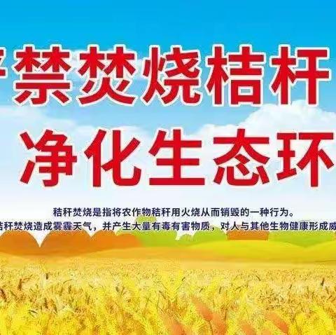 严禁焚烧秸秆   严禁买卖黑土