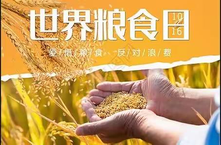 世界粮食日，我们在行动——君山路小学三年级世界粮食日主题中队活动