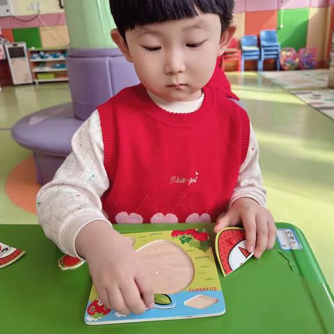 省二幼儿园托四班 🌸小小拼图家🌸