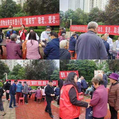 “关爱老人健康、共筑幸福生活/桃园三坊社区开展重阳节社区义诊活动