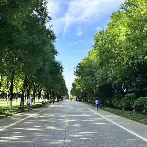 【曲江大明宫遗址区】|不负夏季好时节  绿化养护忙不停