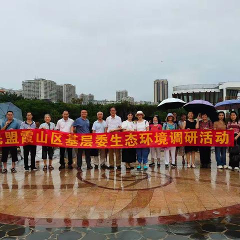 以调查研究推动深入学习贯彻落实——民盟霞山区基层委调研活动