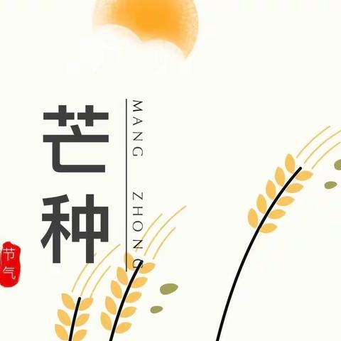 【官幼·节气】芒种雨歇，夏之将至——官道镇中心幼儿园