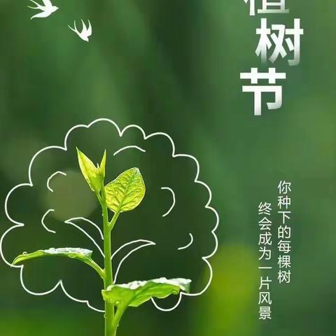 3.12植树节活动